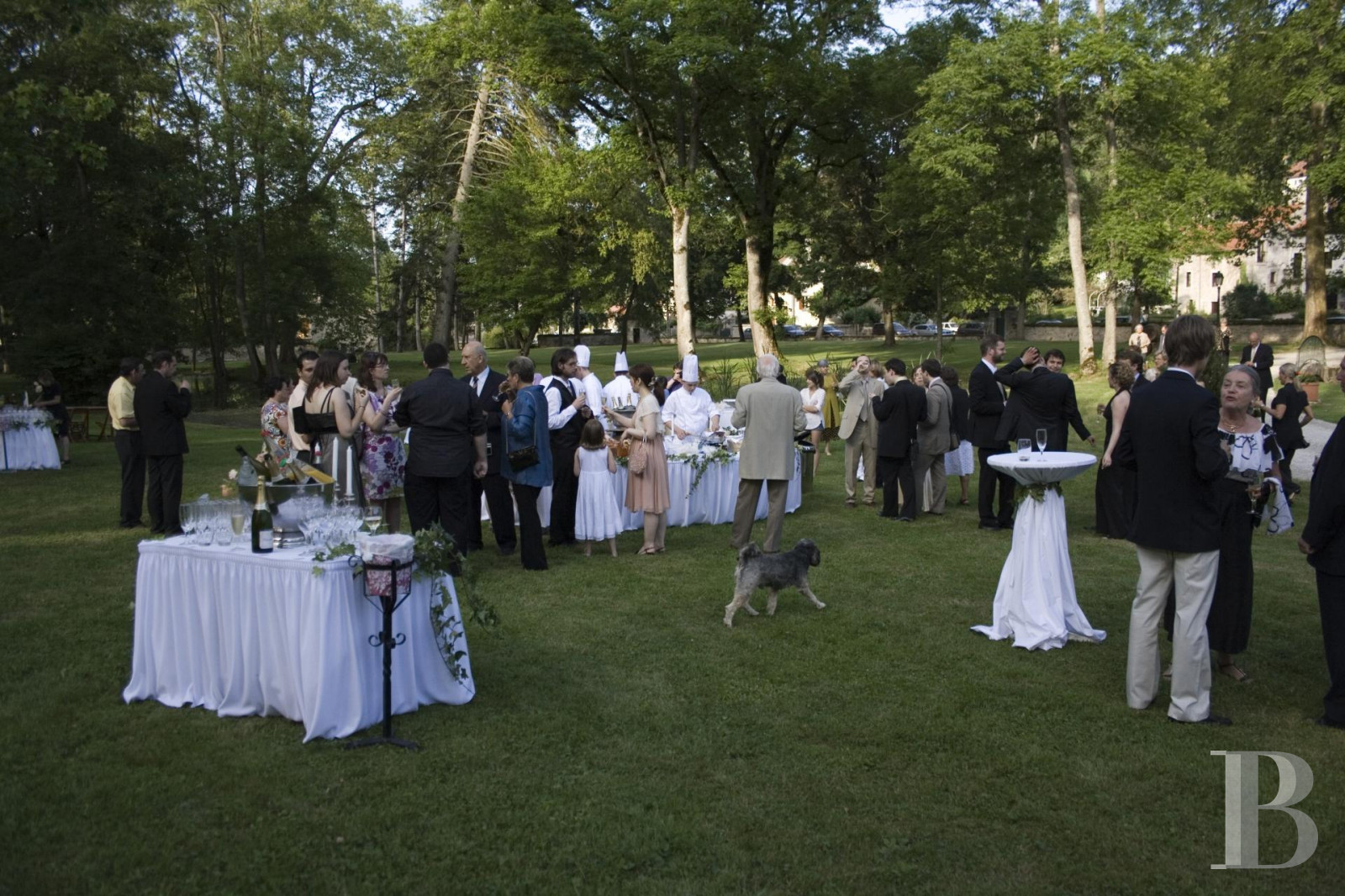 Au cœur de la Bourgogne et du vignoble d’Auxey-Duresses,  une propriété viticole et son château du 16ème siècle - photo  n°5